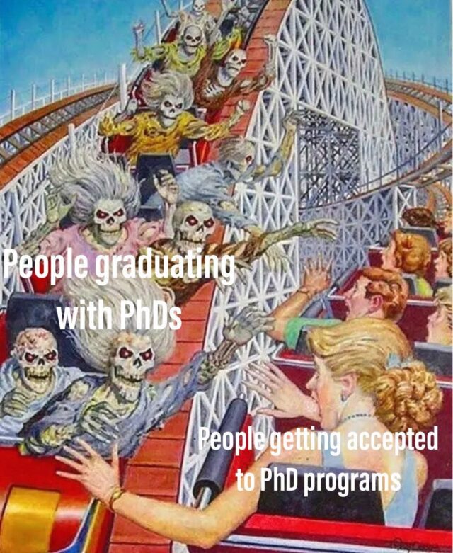 Before and after PhDs